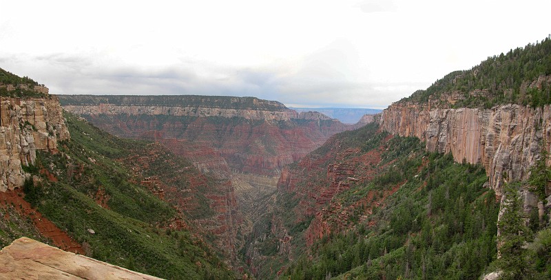 View from the Coconino Overlook.   Photo by Janel Macy.